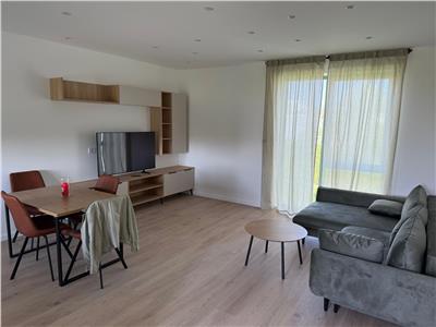 Inchiriere Apartament 2 Camere Sisesti Baneasa 303 By Radacini